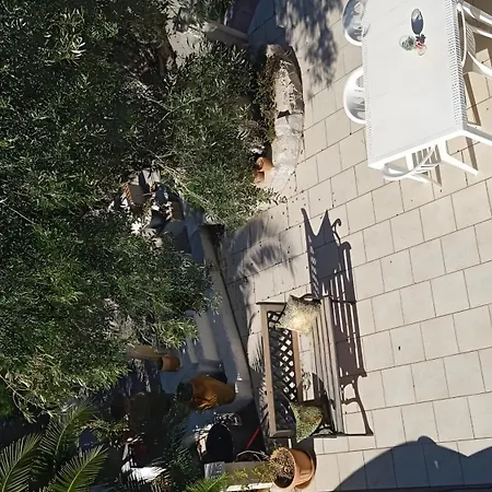 Appartamento La Casa Di Marta Faccia di Trippa di Monte