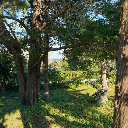 La Casa Di Marta