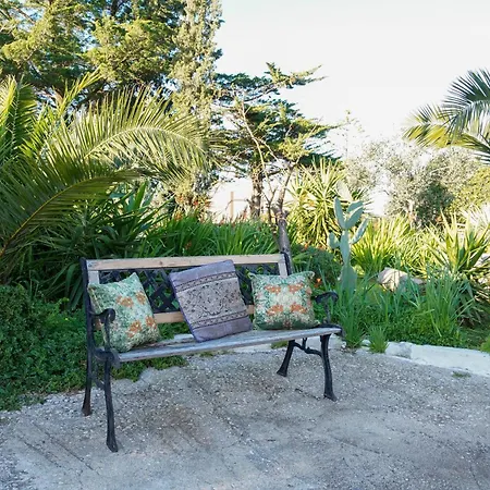 شقة La Casa Di Marta Faccia di Trippa di Monte